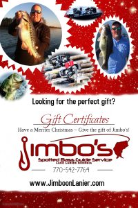 jimbo gift flyer