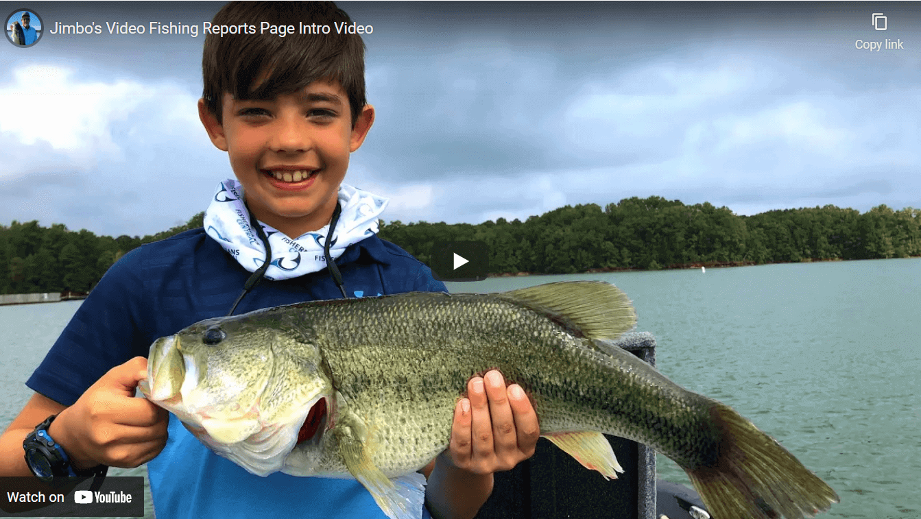 JImbo's Spotted Bass Guide Service - All You Need to Know BEFORE You Go  (2024)