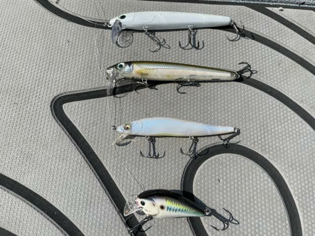 BX Waking Minnow Custom BB BX Waking Minnow Smelt Megabass 110 French Pearl OB Lucky Craft 1.5 Squarebill Live Threadfin Shad