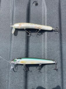 Jimbo Wake up Wake Shad - Pearl/green Rapala BX Waking Minnow - Blue Back